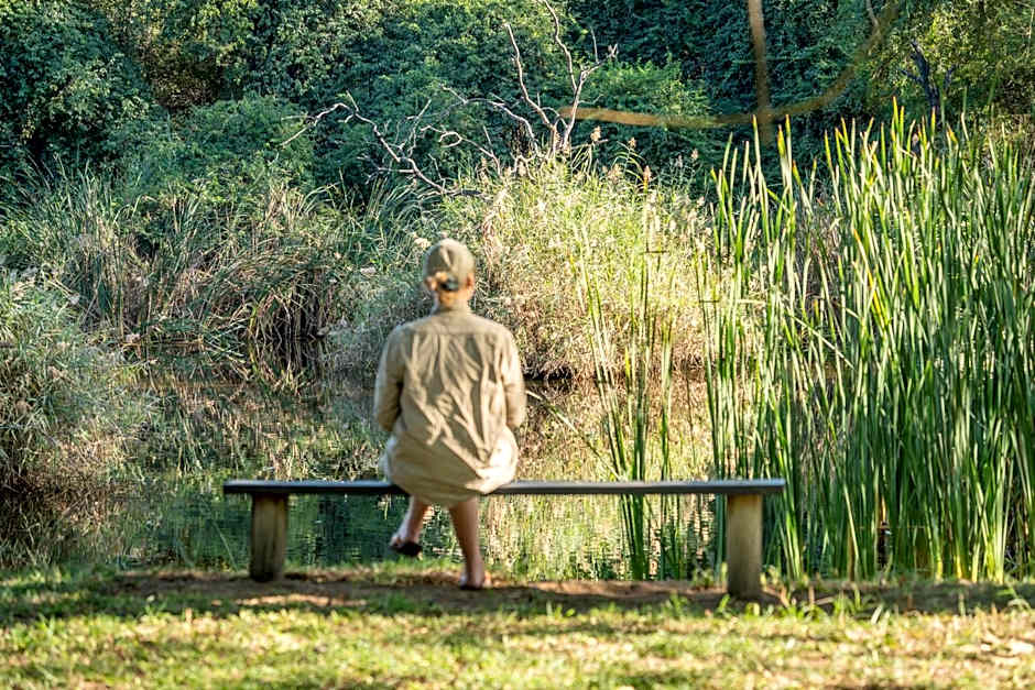 Kruger safari game viewing